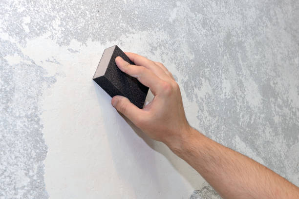 Best Mold Documentation for Insurance Claims  in Greens Farms, CT