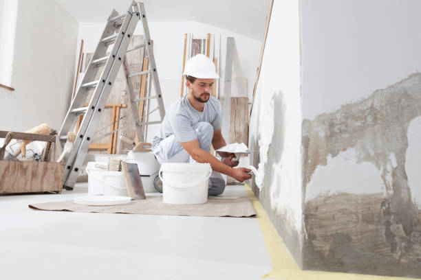 Best Mold Odor Removal Services  in Greens Farms, CT