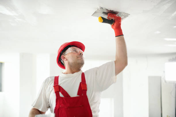 Best Post-Construction Mold Inspection  in Greens Farms, CT