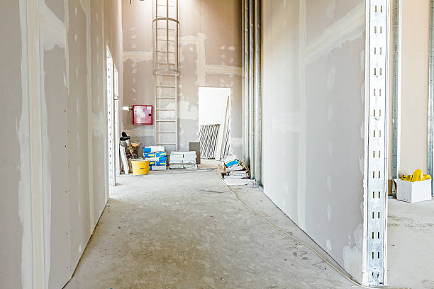 Best Mold Remediation for Rental Properties  in Greens Farms, CT